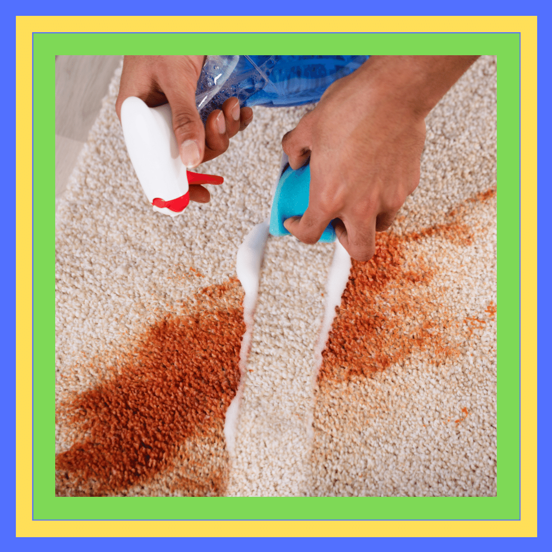 Carpet Stain Removal Stanmore